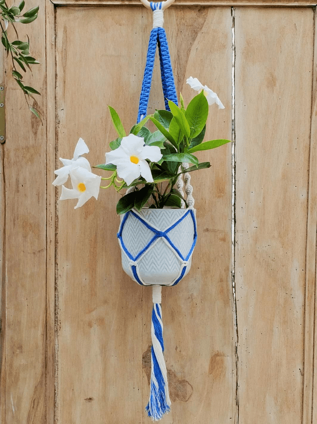 La suspension Bégonia