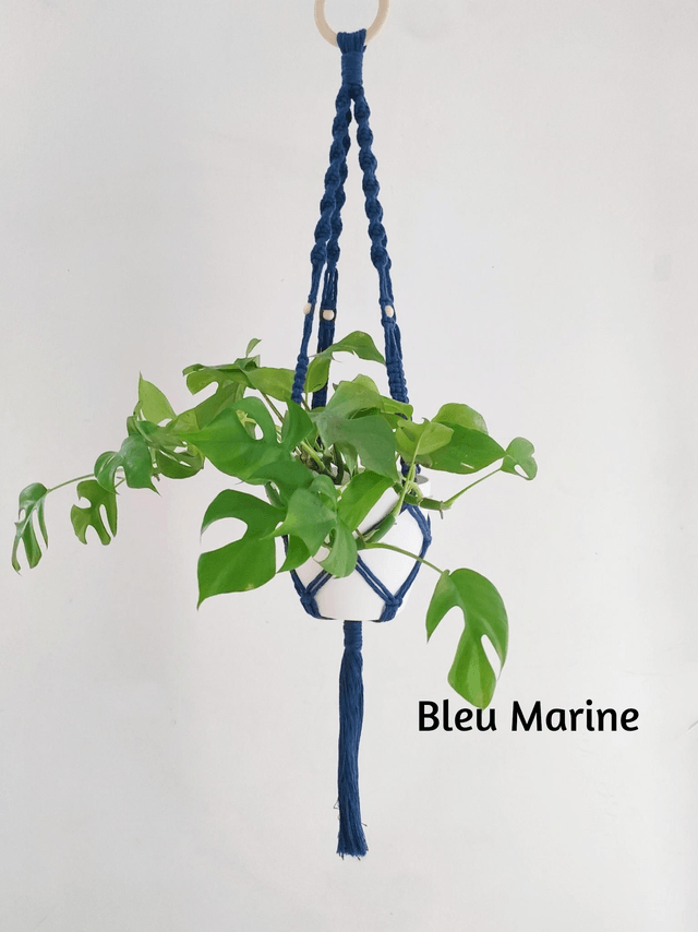 La suspension Azalée 