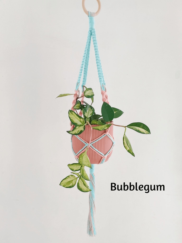 La suspension Bégonia