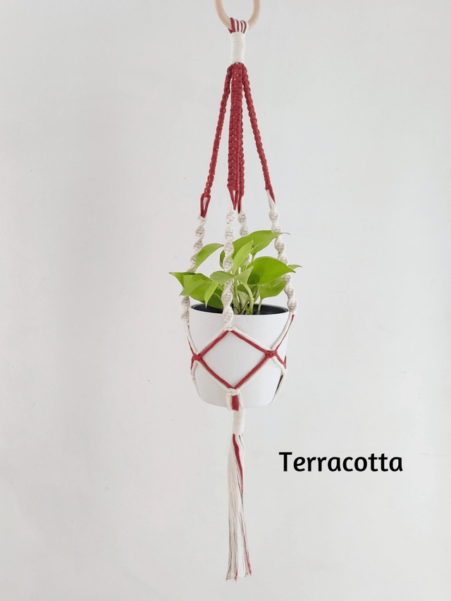 La suspension Bégonia