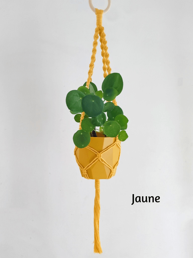 La suspension Azalée 